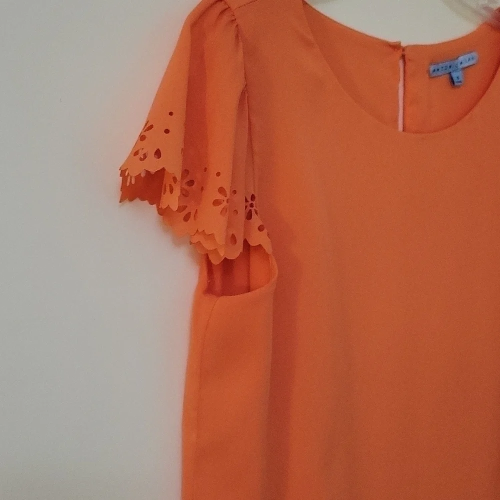 𝅺ANTONIO MELANI Peach Floral Cutout Cap Sleeve Babydoll Blouse Small
